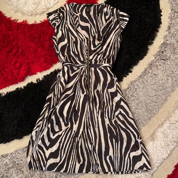 Dresses & Skirts - H&M Zebra Print Dress, Size 2, front zip closure, barely worn